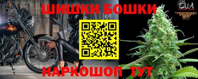 прущие грибы Ставрополь