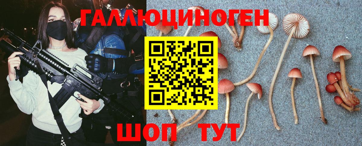 Новосибирск  Псилоцибиновые грибы мицелий  Вход с VPN 