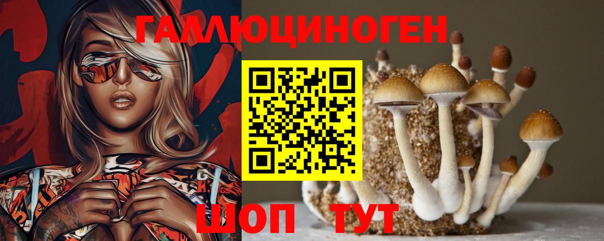 Галлюциногенные грибы прущие грибы Новосибирск